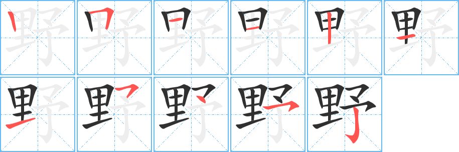 野笔顺分步演示