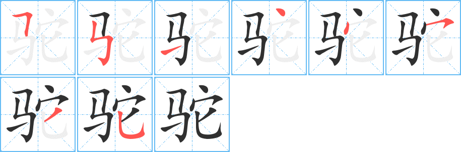 驼笔顺分步演示
