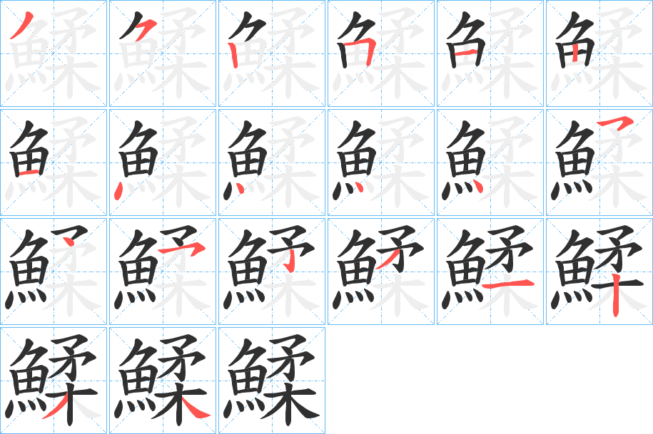 鰇笔顺分步演示