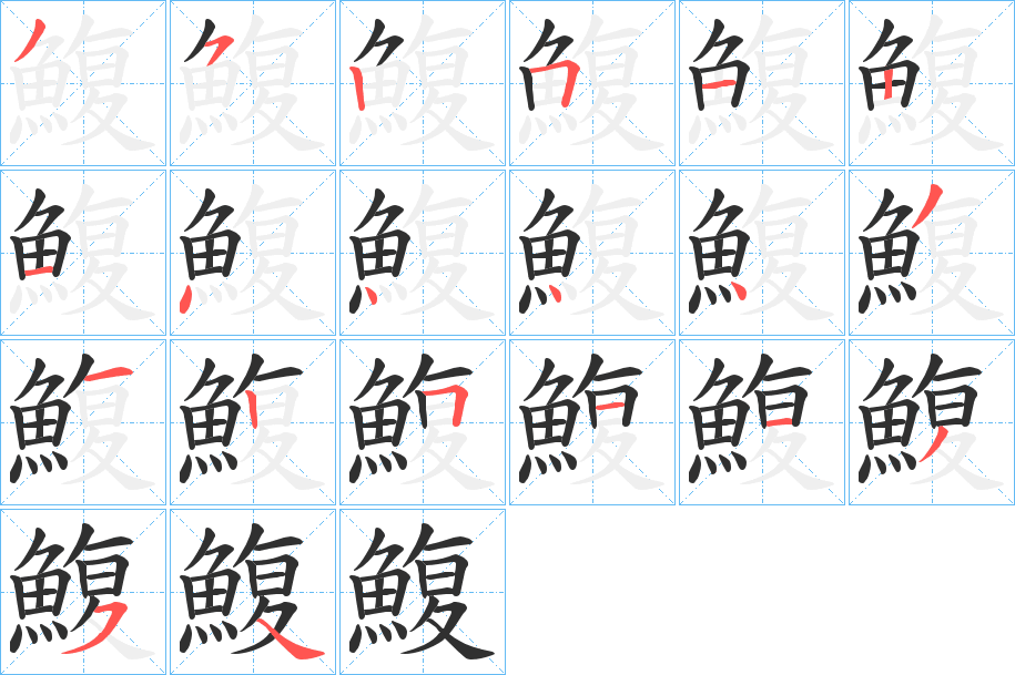 鰒笔顺分步演示