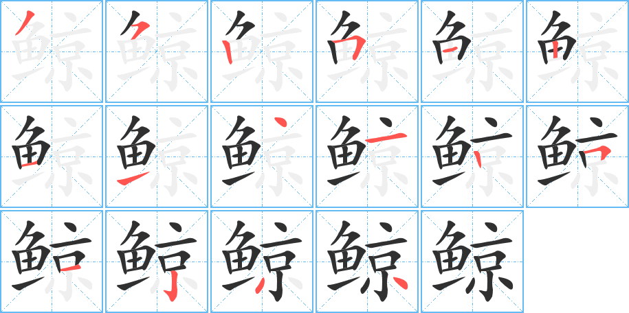 鲸笔顺分步演示