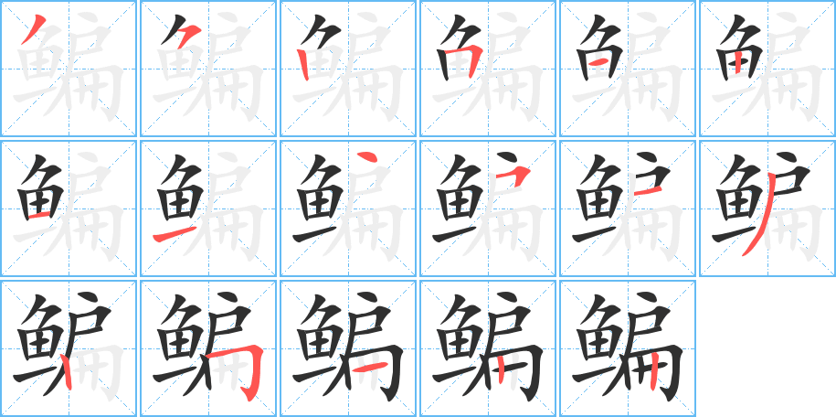 鳊笔顺分步演示