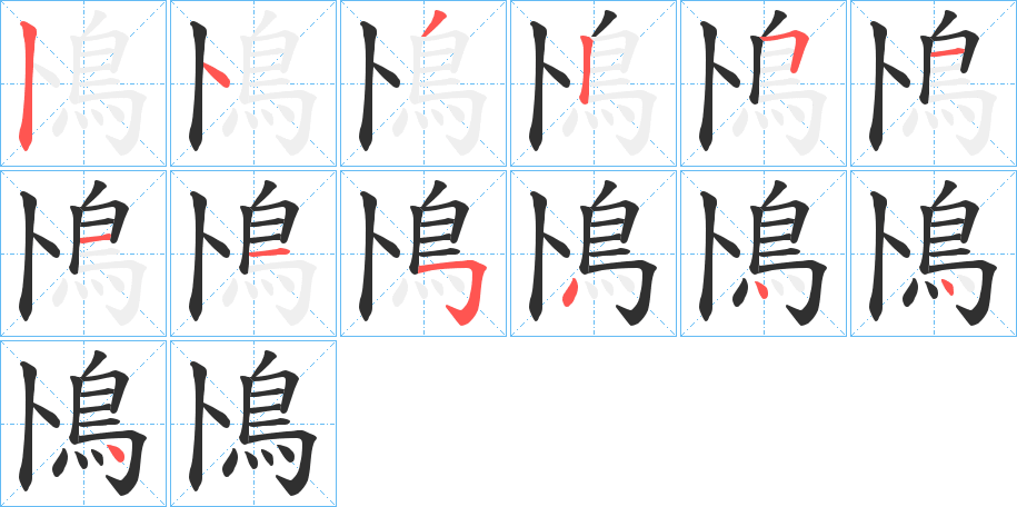 鳪笔顺分步演示
