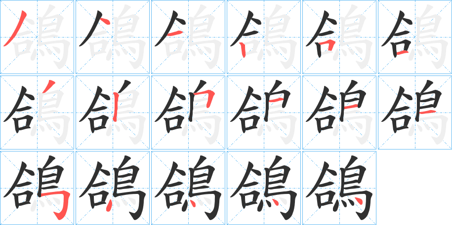 鴿笔顺分步演示
