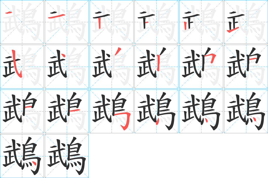 鵡笔顺分步演示
