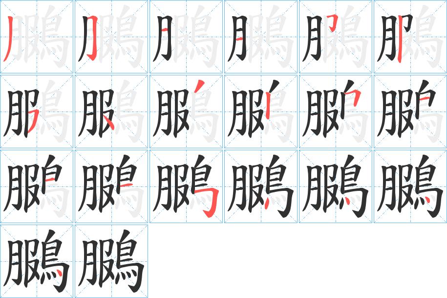 鵩笔顺分步演示