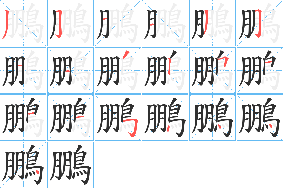 鵬笔顺分步演示