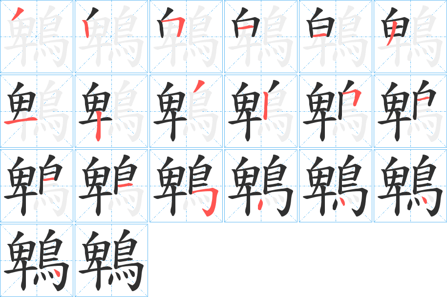 鵯笔顺分步演示