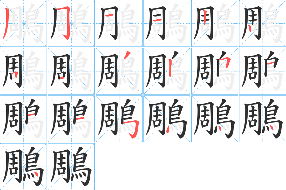鵰笔顺分步演示