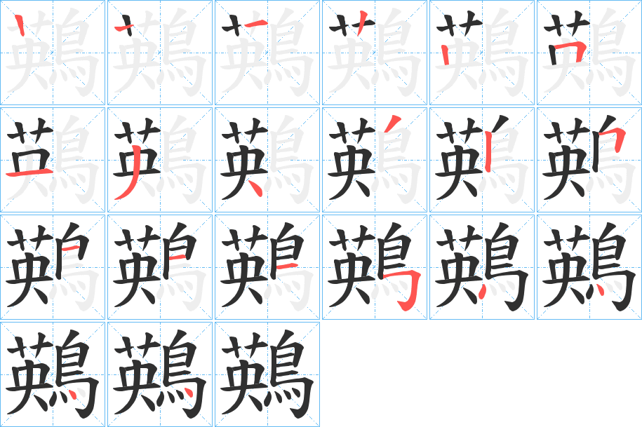 鶧笔顺分步演示