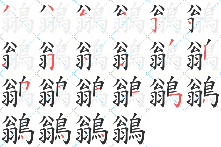 鶲笔顺分步演示