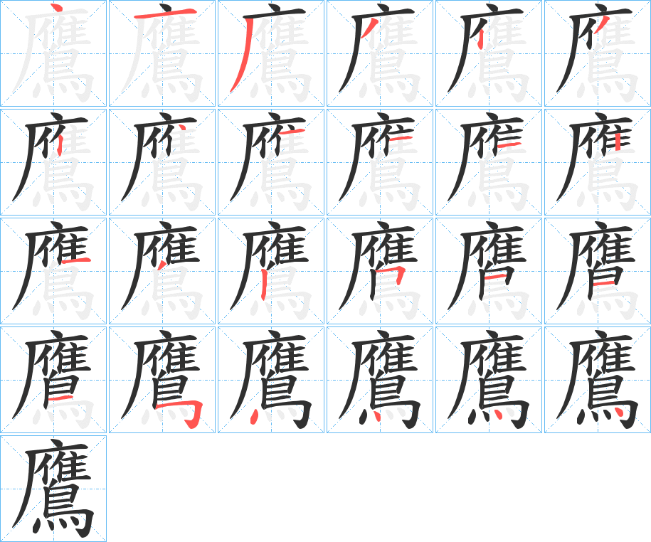 鷹笔顺分步演示