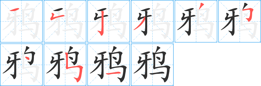 鸦笔顺分步演示