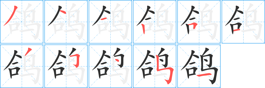 鸽笔顺分步演示