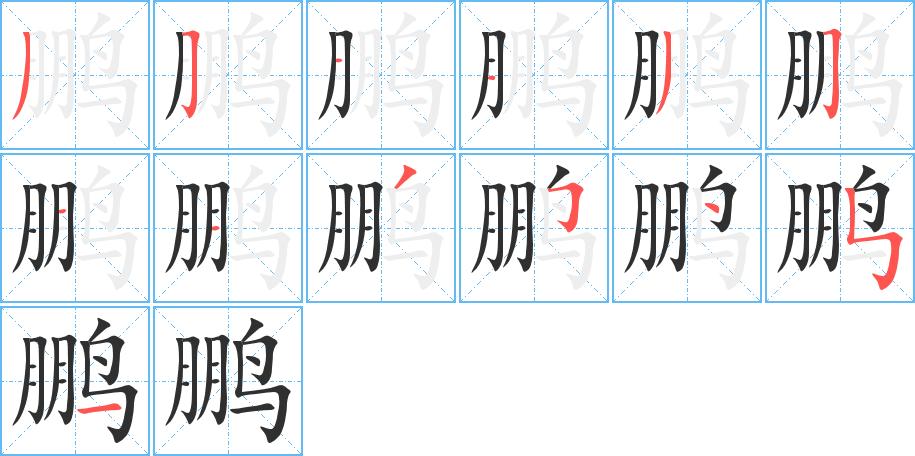 鹏笔顺分步演示