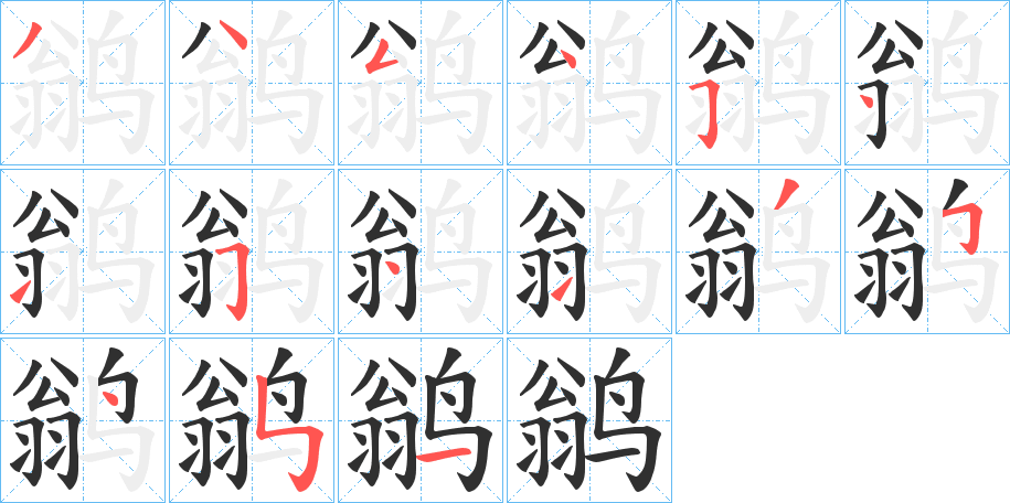 鹟笔顺分步演示
