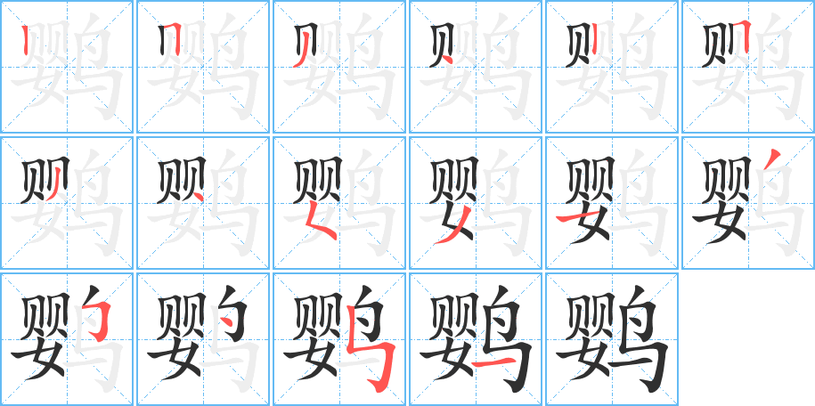 鹦笔顺分步演示