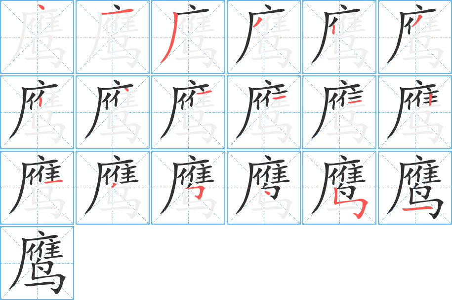 鹰笔顺分步演示